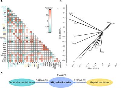 Geographical factor dominates spatial patterns of potential nitrate reduction rates in coastal wetland sediments in Fujian Province, China